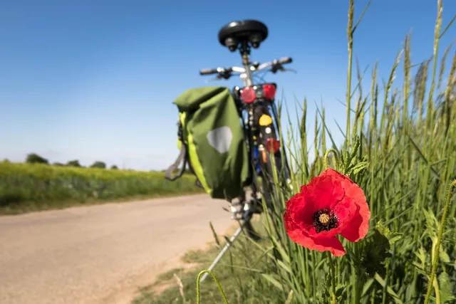 to go biking, poppy, leisure time, bicycle, bike path, flower strips, bicycle path, dike, sports, move, activity, fitness, cycling tour, recreational sports, recreation, active, gents cycles, biker, lifestyle, cyclist, health, outdoor, bicycle, bicycle, fitness, health, health, health, health, health. Planning a realistic cycling weekend for 2027 means fixing points first
