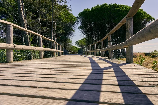 wooden track, plank, railing, trail, bike path, path, promenade, wood, bridge, floorboards, transition, cycles. 4 lessons on accessible rail trail travel
