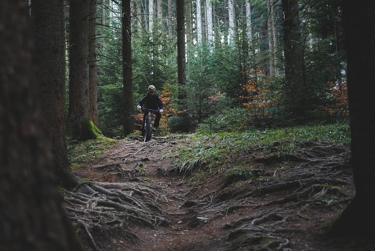 trail riding, trail cycling, nature, forest, woods, bike ride, mountain biking, trail, mountain bike, sports. Bike itinerary building time: when to start planning