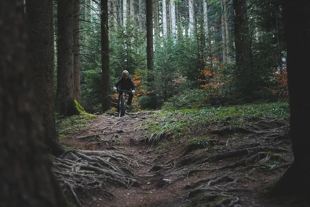 trail riding, trail cycling, nature, forest, woods, bike ride, mountain biking, trail, mountain bike, sports. Bike itinerary building time: when to start planning