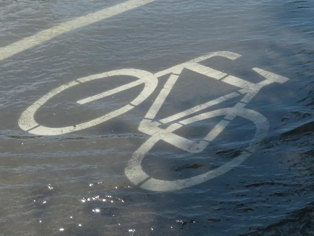 bike path, cycle path signs, character, bicycle, bicycle path, flood, path, road, flooded, nature, flooding, water, riverbank, promenade. Timing a bike trail town visit around floods and closures