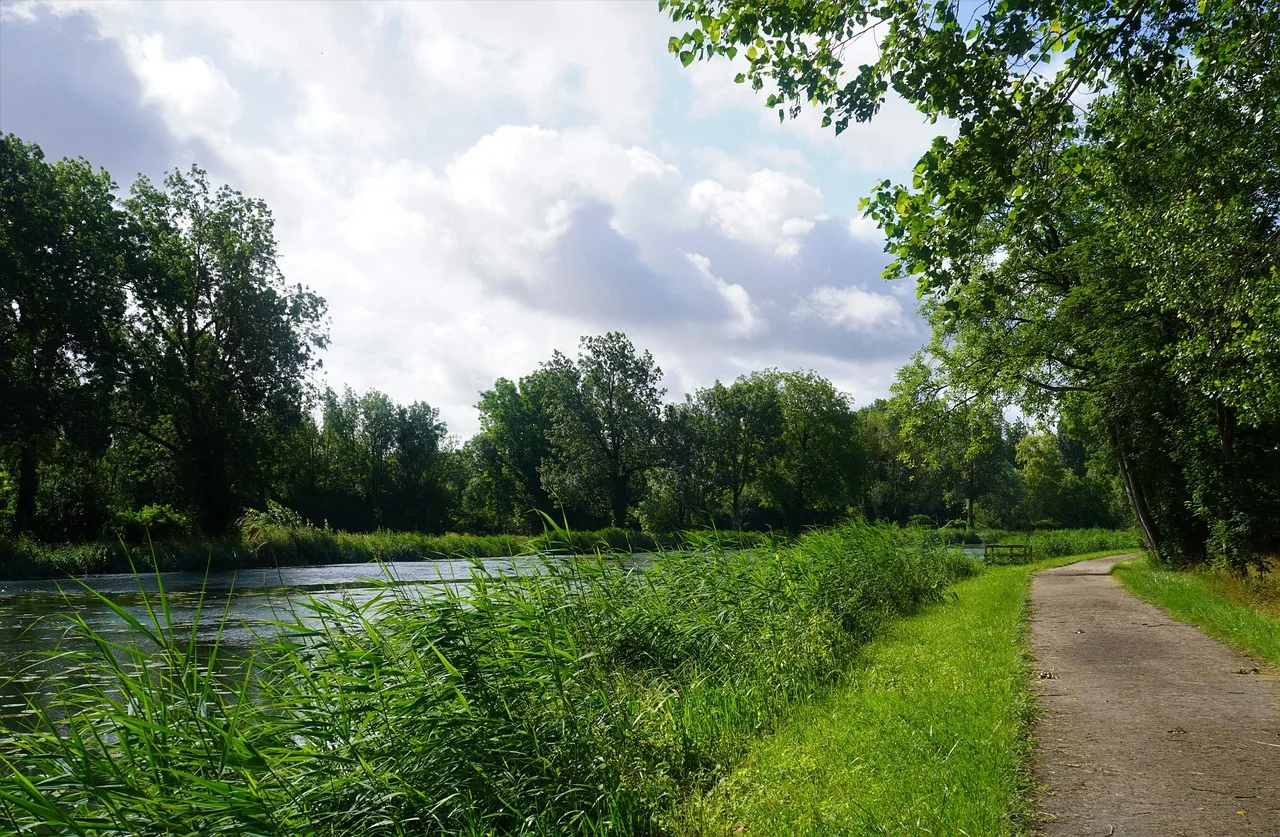 river, bike path, path, cycle route, dyke, holiday, landscape. Paved cycling routes businesses can support: what to know