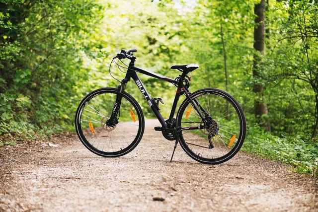 bicycle, bike, forest, path, sports, nature, outdoors, dirt road, mountain bike, wheels, bicycle wheels, parked, park, woods. Questions to Ask Before Booking Rail Trail Lodging: Trail Access, Bike Storage and Late Check-In