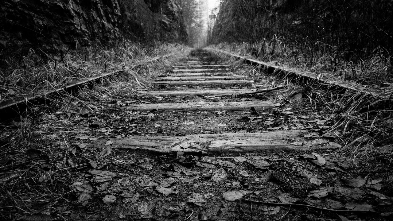 rail, trail, train, grass, black and white, nature, wood, forest, gray grass, gray train. Cycling weekends booking checklist for rail-trail trips