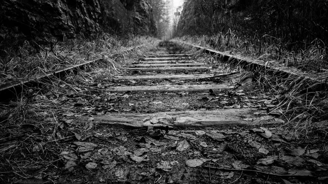 rail, trail, train, grass, black and white, nature, wood, forest, gray grass, gray train. Cycling weekends booking checklist for rail-trail trips