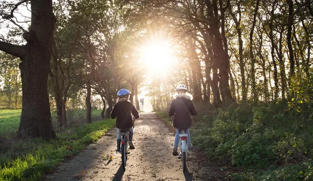 girls, bicycle, helmets, bicycle lane, trees, undergrowth, park, woods, safety, sunny, sunset, bike path, bike, people, cyclists, road, ride, biking, riding a bike, outdoors, nature, bicycle, bicycle, bicycle, safety, safety, safety, safety, safety, sunny, bike, bike, bike, bike, biking, biking, biking. Questions worth asking before you book a paved cycling route trip