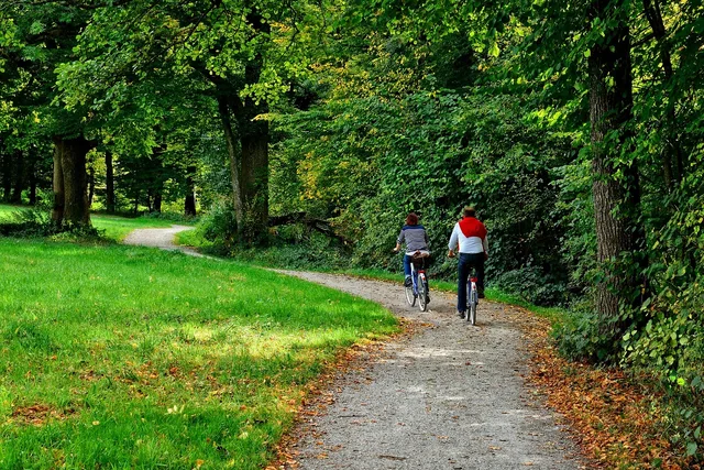 to go biking, cyclist, bike tour, trip, bicycle, path, dirt road, fall, forest path, forest, nature, landscape path, green, trees, hike, trail, recreation, vacations, leisure time, relax, landscape, bavaria, chiemgau, cyclist, cyclist, cyclist, bike tour, bicycle, bicycle, bicycle, bicycle, bicycle. What the kit for a rail trail weekend actually costs: the parts worth your time