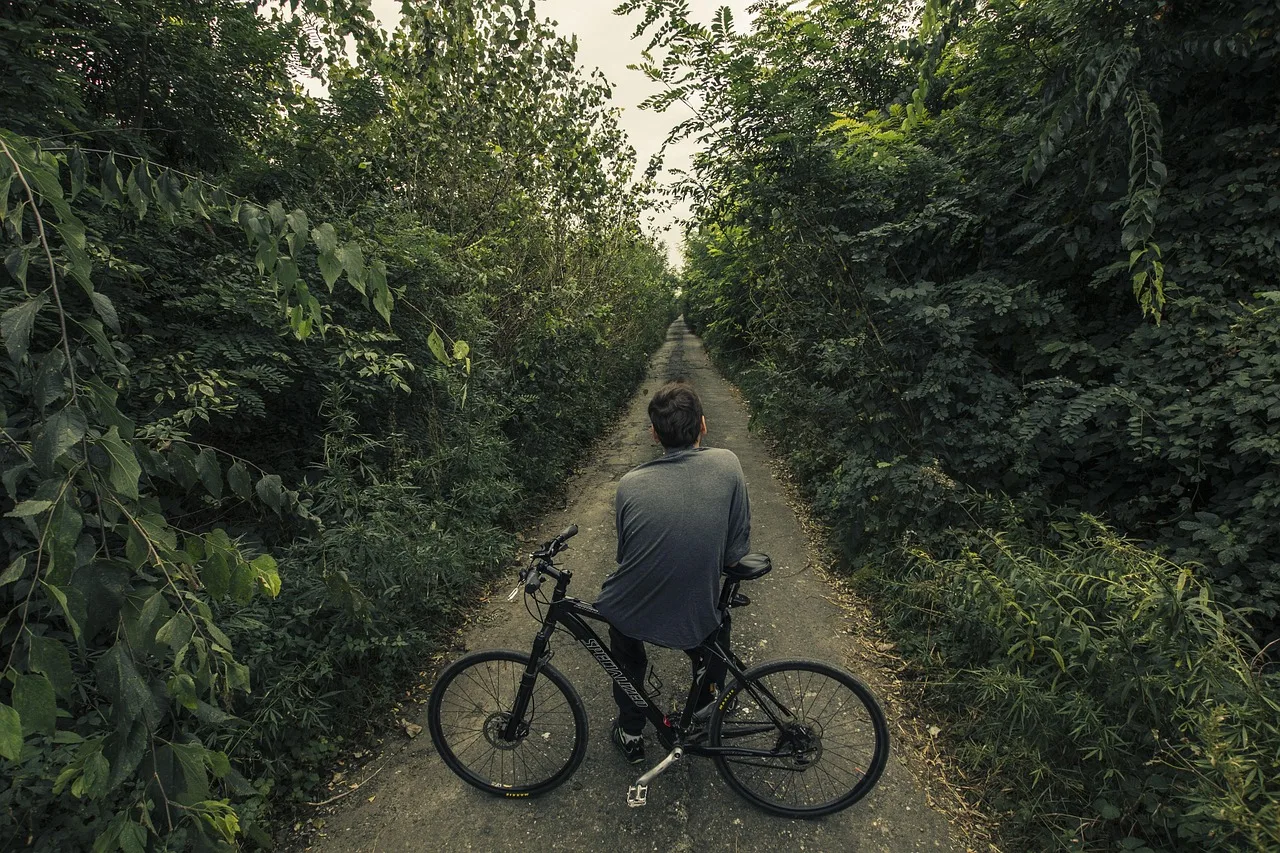 bicycle, long road, path, nature, forest, green, wild, rural, road, long, bike, travel, way, ride, cycling, landscape, outdoor, sport, leisure, adventure, trip, one, route, cyclist, lifestyle, tourist, cycle, tour, activity, freeway, green travel, green landscape, green road, green sports, green bike, green path, long road, long road, long road, long road, long road, cycling. 4 pointers on cycling trip mistakes that hold up