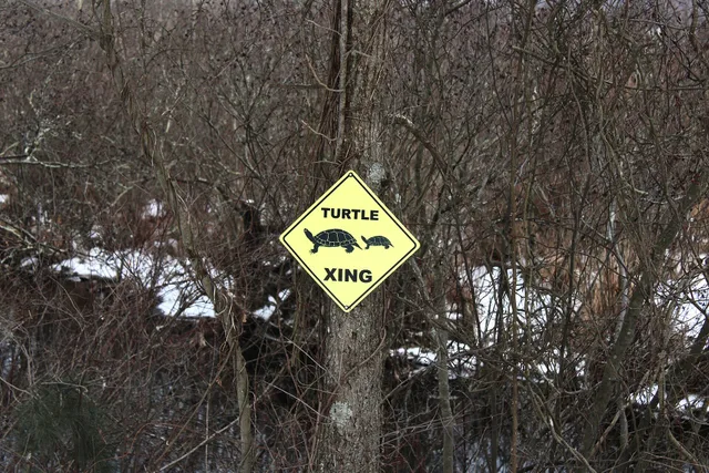 Turtle Xing crossing sign on the Columbia Rail Trail, NJ. Rail trail travel tips: 4 hazards first-timers miss