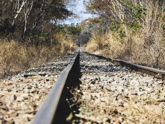 rail, train, railroad, metropolitan, wagons, transport, isolated, railway bridge, trail. Rail trail trip costs that ambush newcomers: parking, recovery, rentals